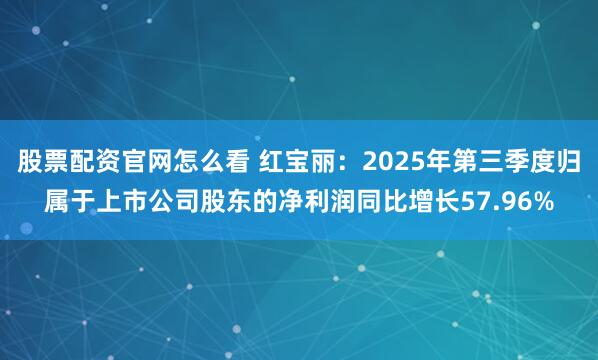 股票配资官网怎么看 红宝丽：2025年第三季度归属于上市公司股东的净利润同比增长57.96%