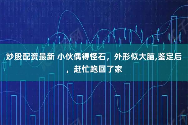 炒股配资最新 小伙偶得怪石，外形似大脑,鉴定后，赶忙跑回了家