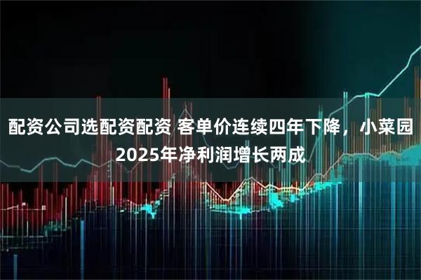 配资公司选配资配资 客单价连续四年下降,小菜园2025年净利润增长两成