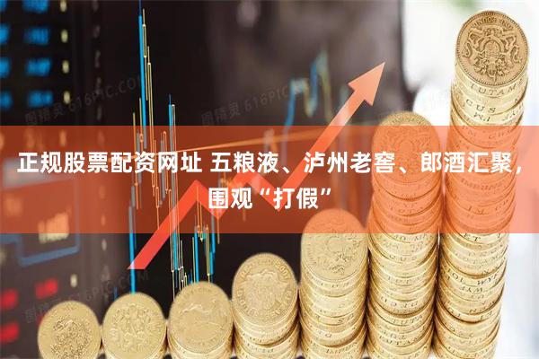 正规股票配资网址 五粮液、泸州老窖、郎酒汇聚，围观“打假”